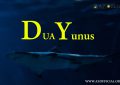 Dua Yunus