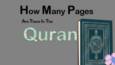 How Many Pages Are There In The Quran?
