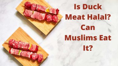 Is Duck Meat Halal Can Muslims Eat It