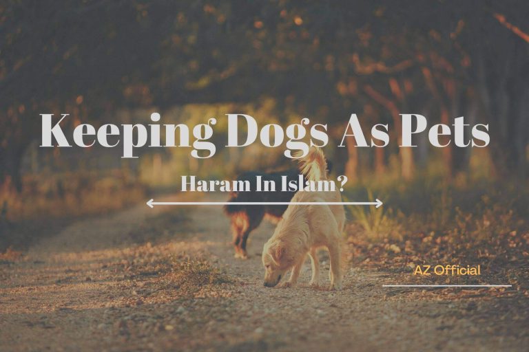 Keeping Dogs As Pets Haram In Islam AZ Official