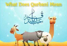 Qurbani mean