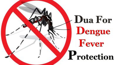 dengue faver