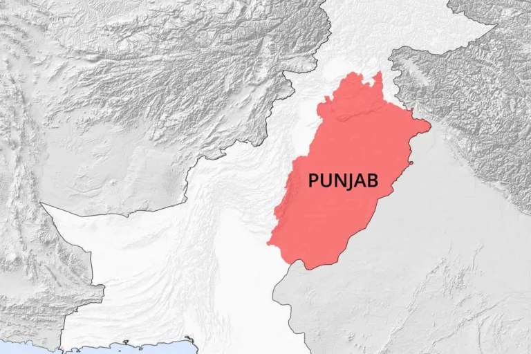 Two Pakistani Intelligence Officers Were Killed In Punjab.
