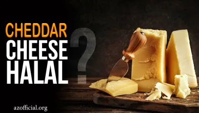 Is Cheddar Cheese Halal or Haram