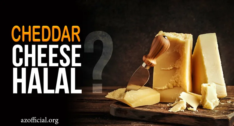 Is Cheddar Cheese Halal or Haram