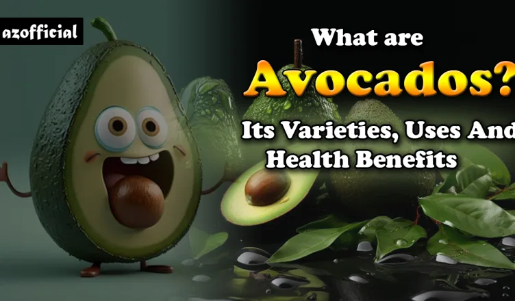 What are Avocados Its Varieties, Uses And Health Benefits