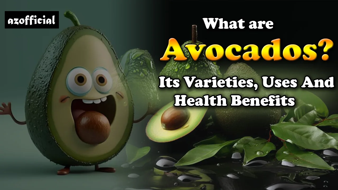 What are Avocados? Its Varieties, Uses, And 8 Health Benefits