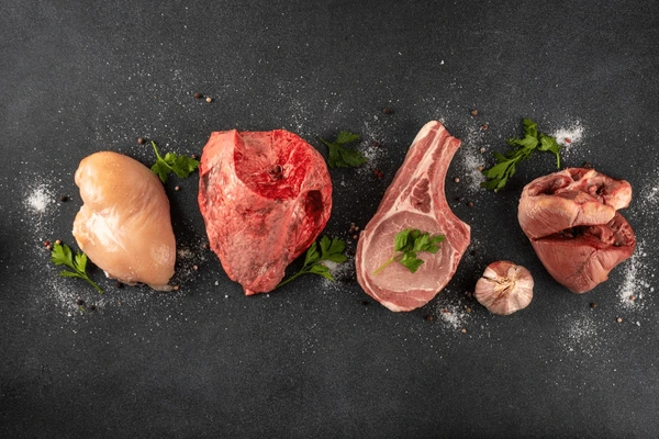 Carnivore Diet