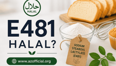 Is Sodium Stearoyl Lactylate Halal